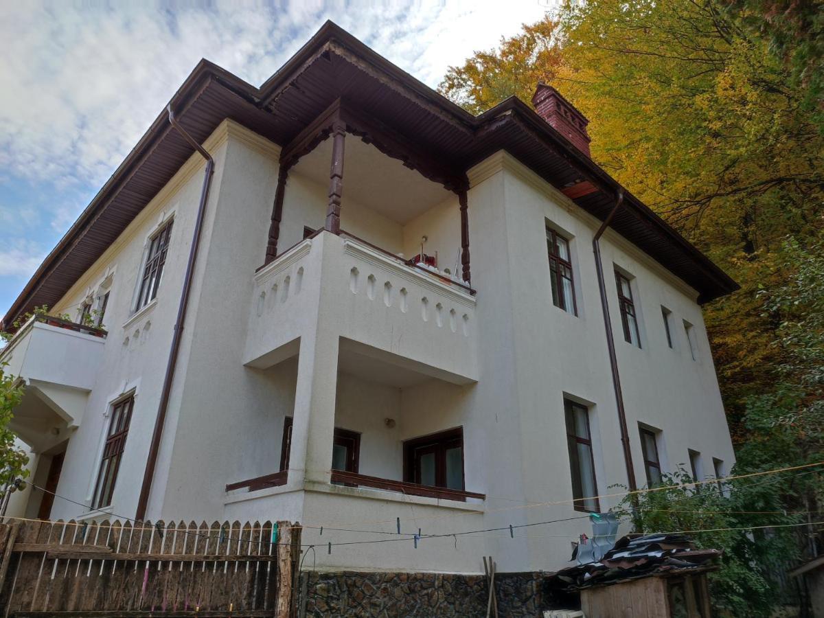 Vila Brazilor Caciulata Exterior photo